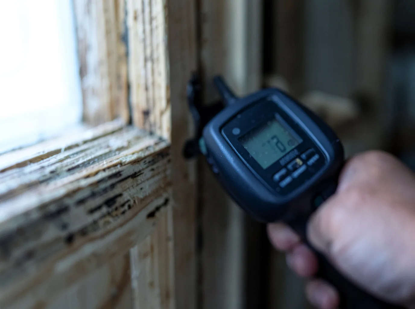 Moisture Inspection And Documentation in Hot Springs, MT